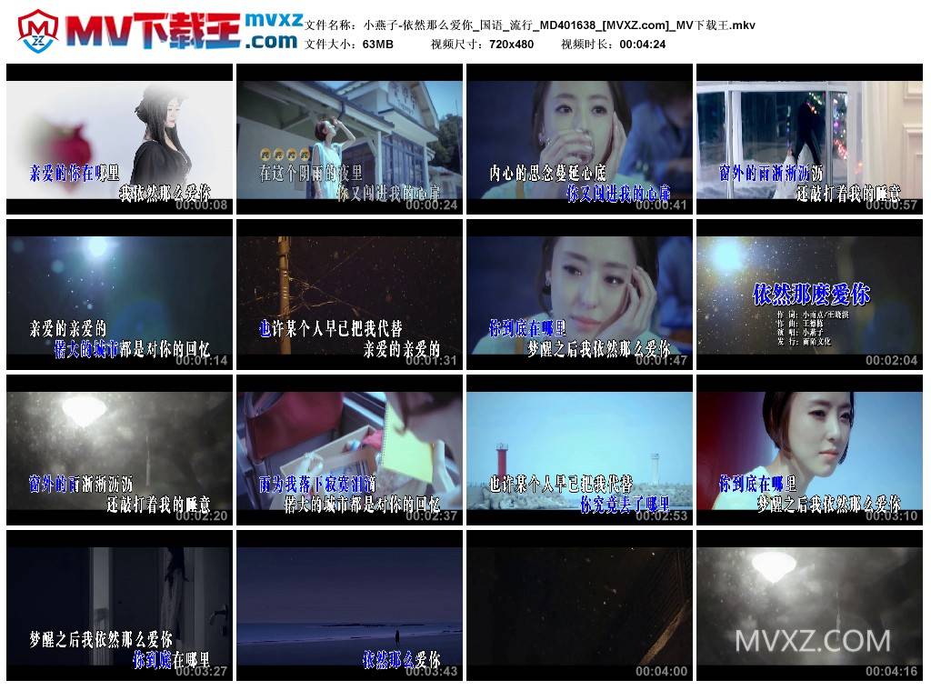 小燕子-依然那么爱你_国语_流行_MD401638